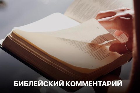 Библейский комментарий 12