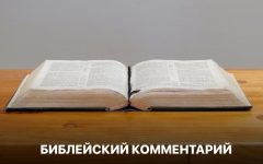 Библейский комментарий 14