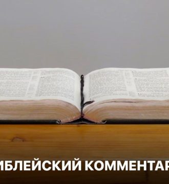 Библейский комментарий 14