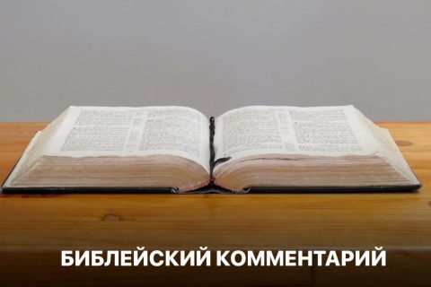 Библейский комментарий 14