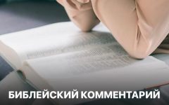 Библейский комментарий 15