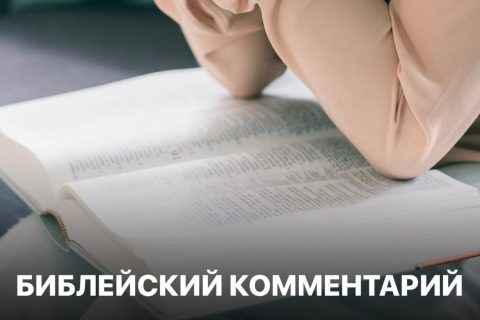 Библейский комментарий 15