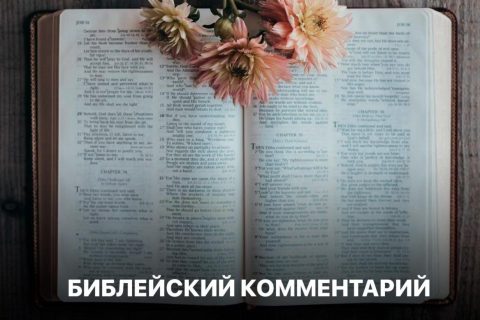 Библейский комментарий 5