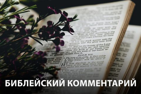 Библейский комментарий 7