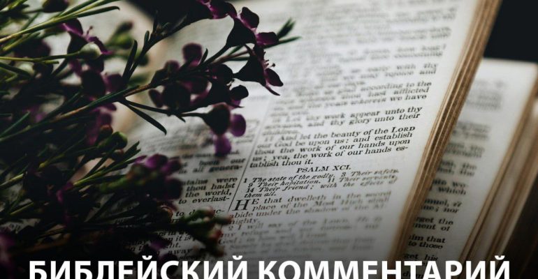 Библейский комментарий 7