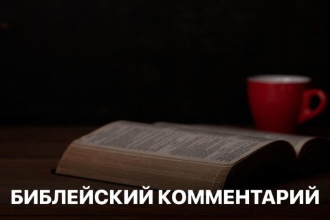 Библейский комментарий 8